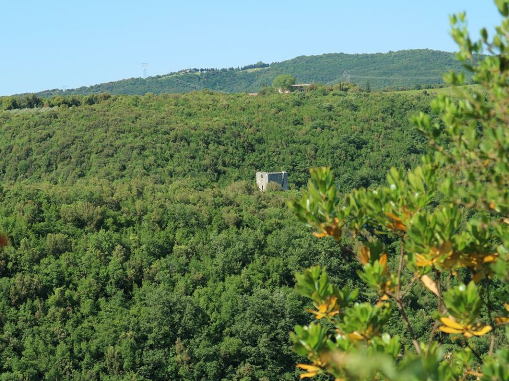 castelvecchio-the-14